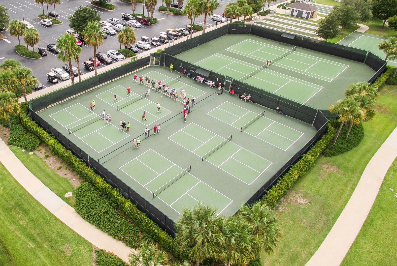 Aerial view of outdoor pickleball courts surrounded by palm trees (illustrative photo)